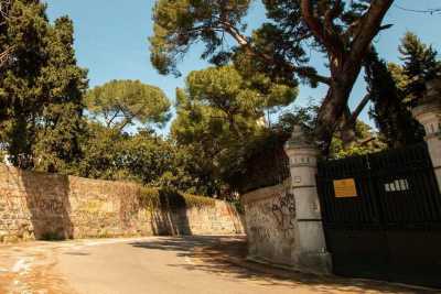 Graziamonte, Quattro Bocche, San Lioce: i nomi e la storia delle antiche contrade di Bari 